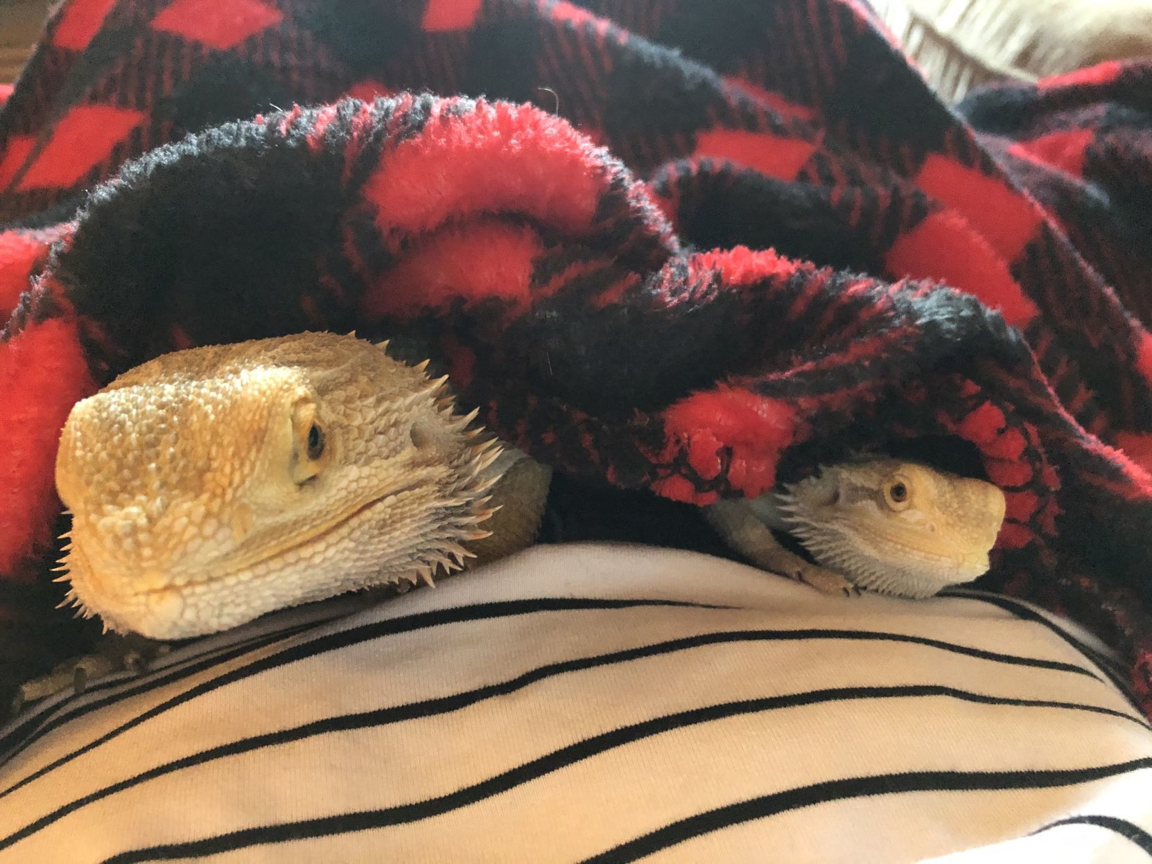 Rory and Peaches